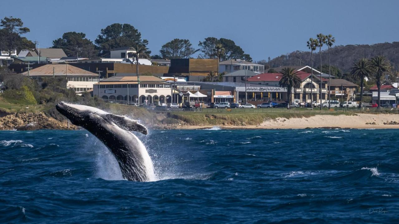 Bermagui Beach Hotel Экстерьер фото